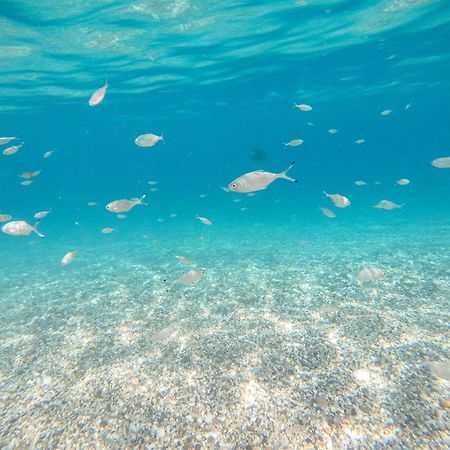 Complejo Turistico Los Bayiyos Agua Amarga  Luaran gambar
