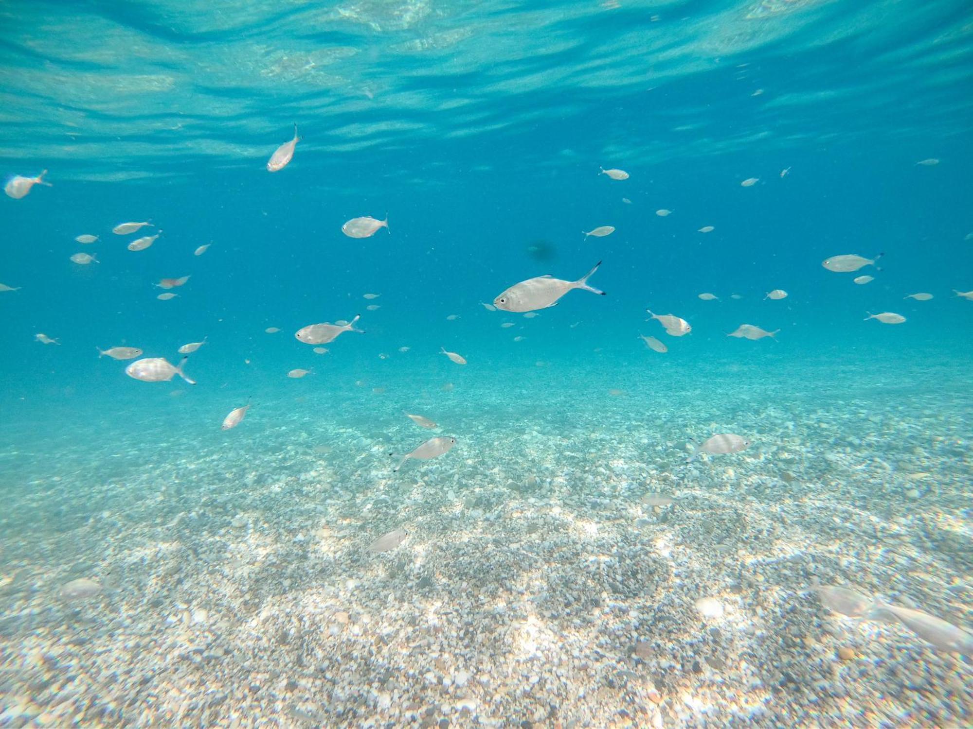 Complejo Turistico Los Bayiyos Agua Amarga  Luaran gambar