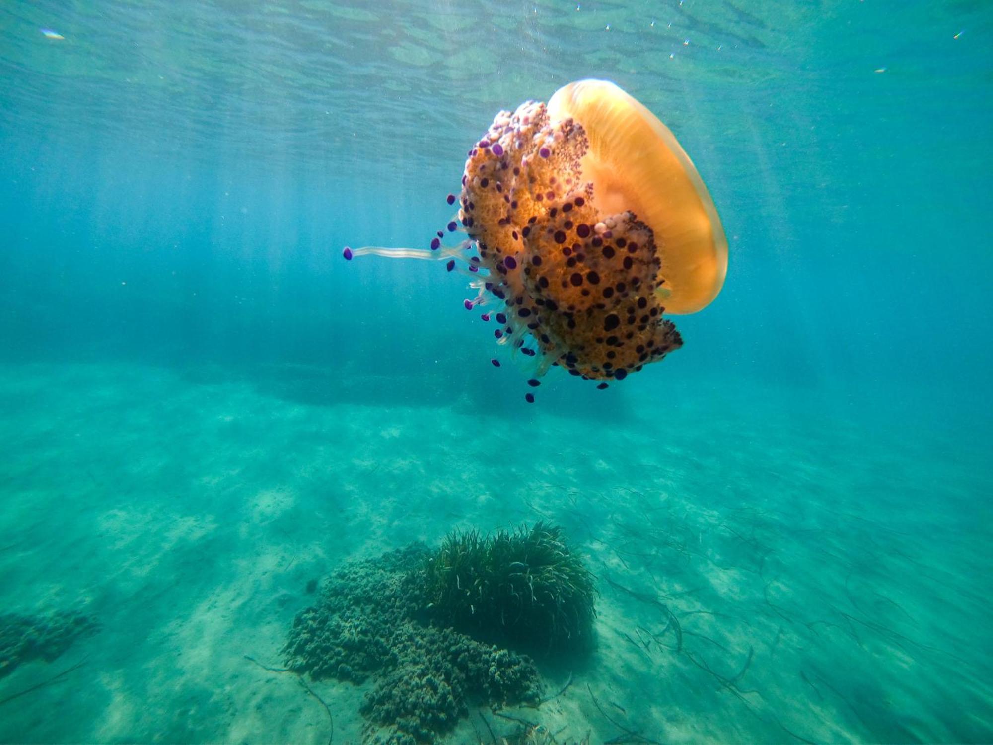 Complejo Turistico Los Bayiyos Agua Amarga  Luaran gambar